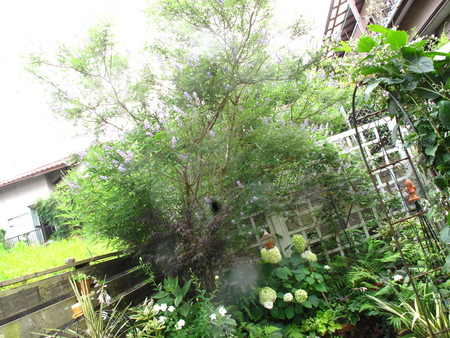 f0178897_156236.jpg