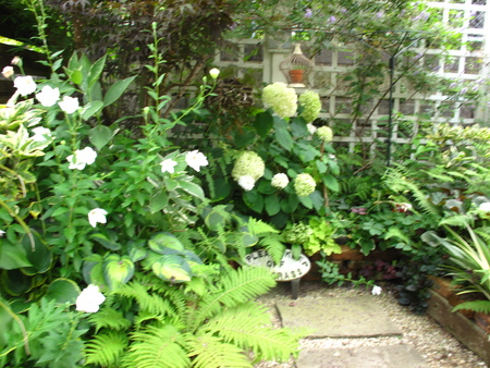 f0178897_1571320.jpg