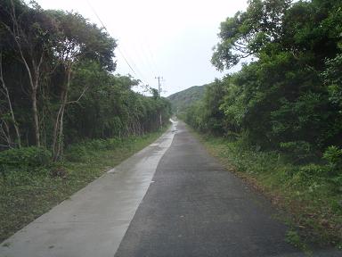 a0125598_19445872.jpg