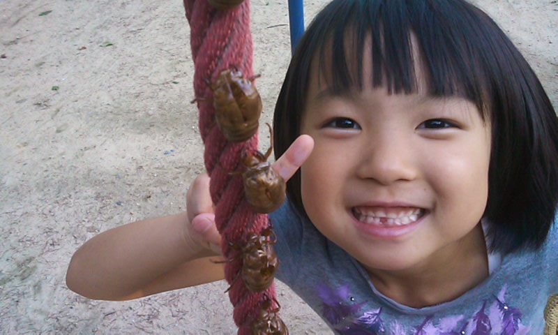 b0201198_20141928.jpg
