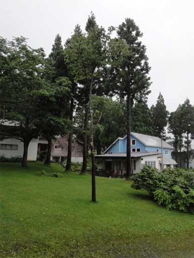 a0061599_7543566.jpg