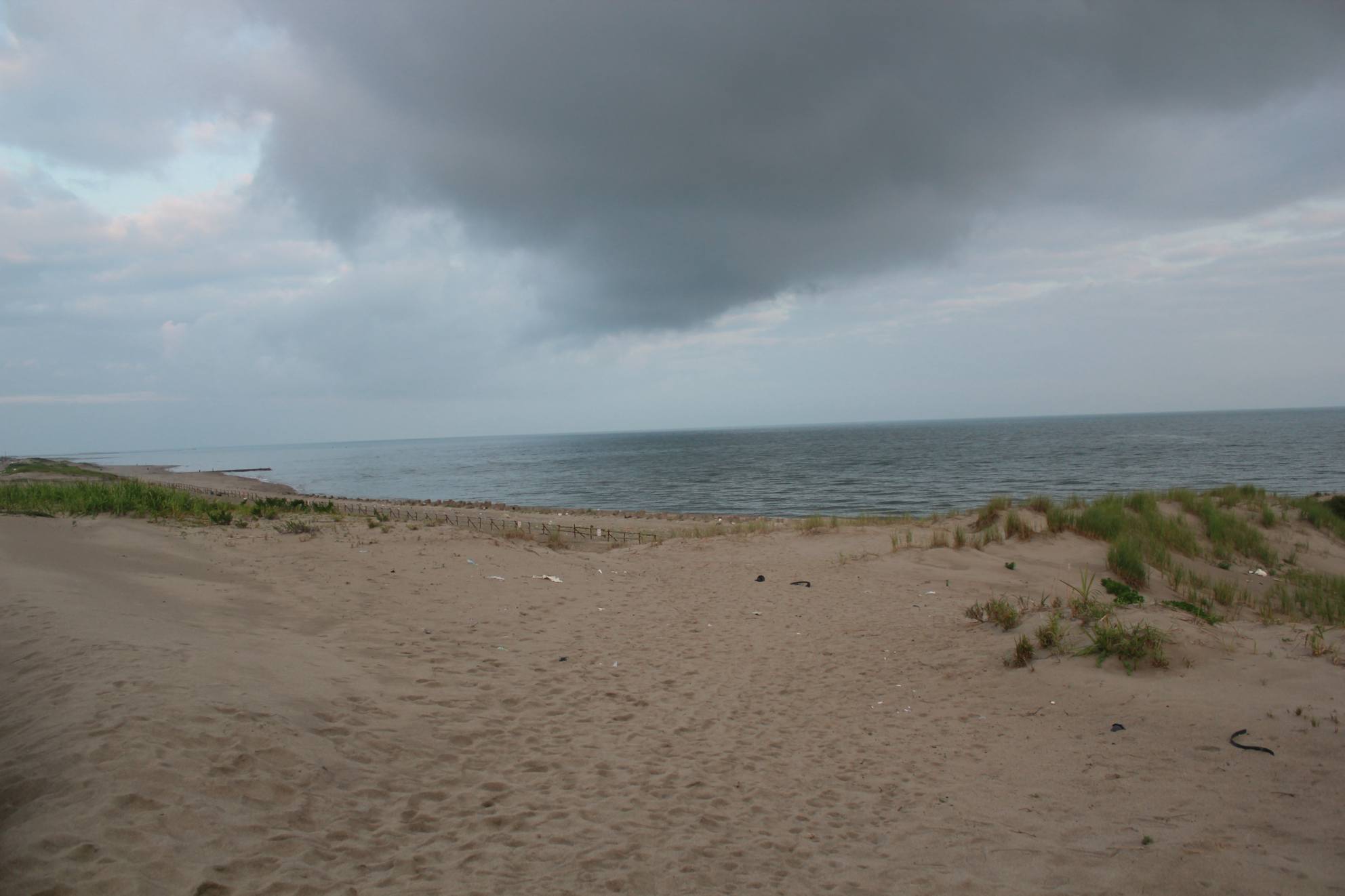 a0264604_738479.jpg