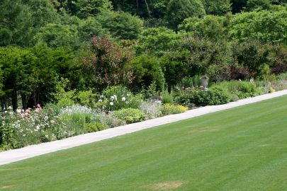 f0041606_11262326.jpg