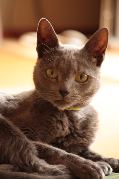 d0001008_9155875.jpg