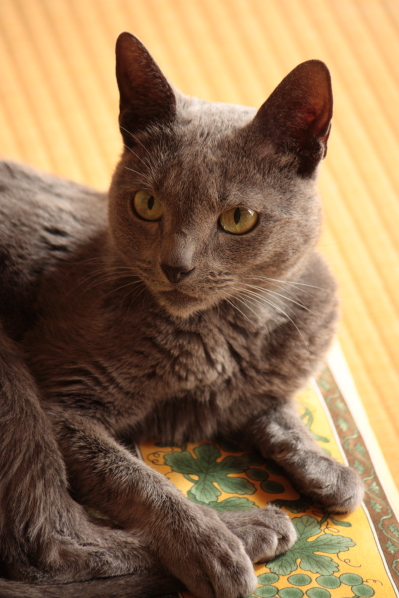 d0001008_918656.jpg