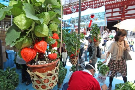e0075412_2340109.jpg
