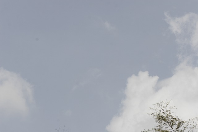 a0098513_912844.jpg