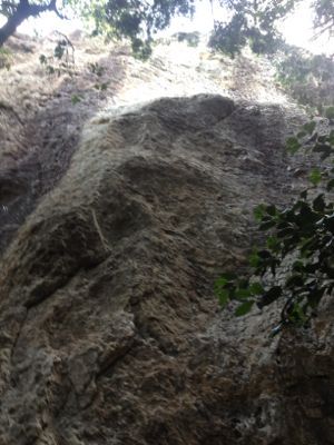 c0210618_19424685.jpg