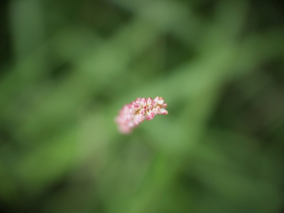 c0180824_1623521.jpg