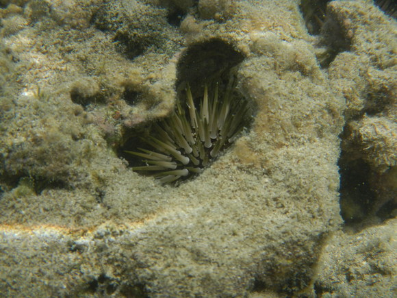 e0218625_2131081.jpg