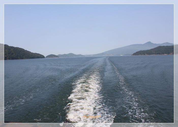 a0265027_11132.jpg