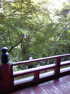 c0090534_15585142.jpg