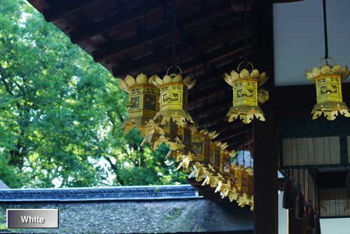 c0227134_21495387.jpg