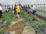 f0167635_891328.jpg