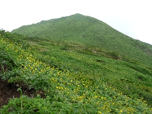 f0122639_12321953.jpg