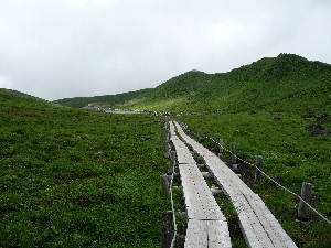 f0122639_1233270.jpg