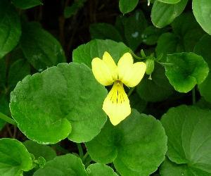 f0122639_123539.jpg