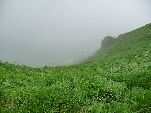 f0122639_1237134.jpg