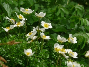 f0122639_12375424.jpg