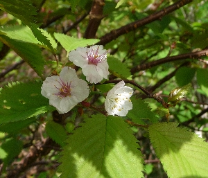 f0122639_13331242.jpg
