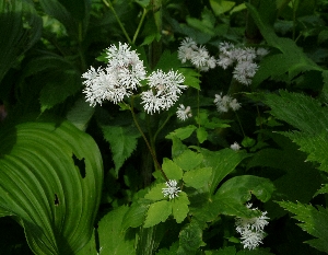 f0122639_1351297.jpg