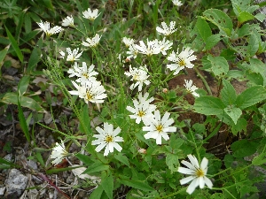 f0122639_1452917.jpg