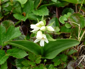 f0122639_151134100.jpg