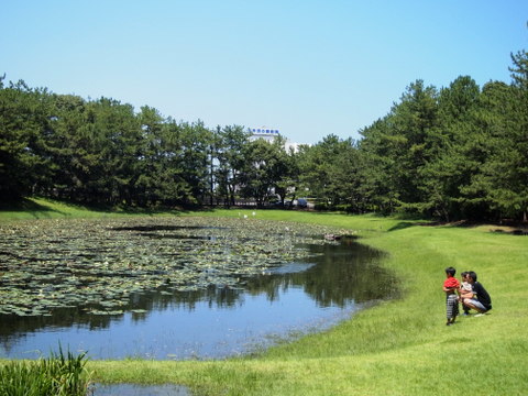 b0199742_22214389.jpg