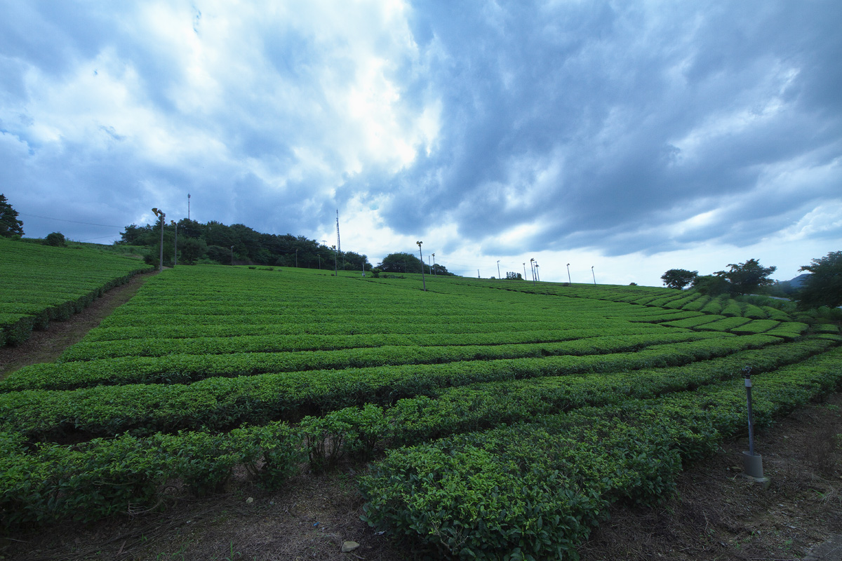 d0246642_2163140.jpg