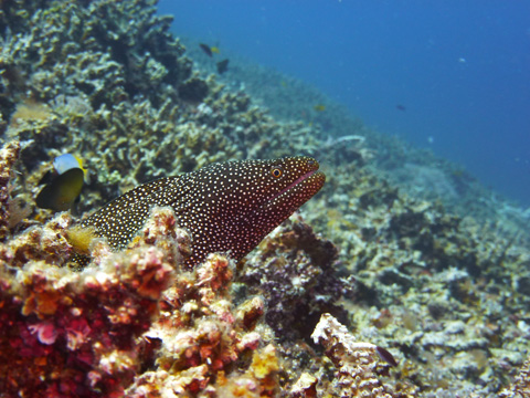 f0014842_1912844.jpg
