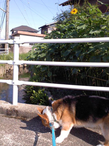 a0150850_2324165.jpg