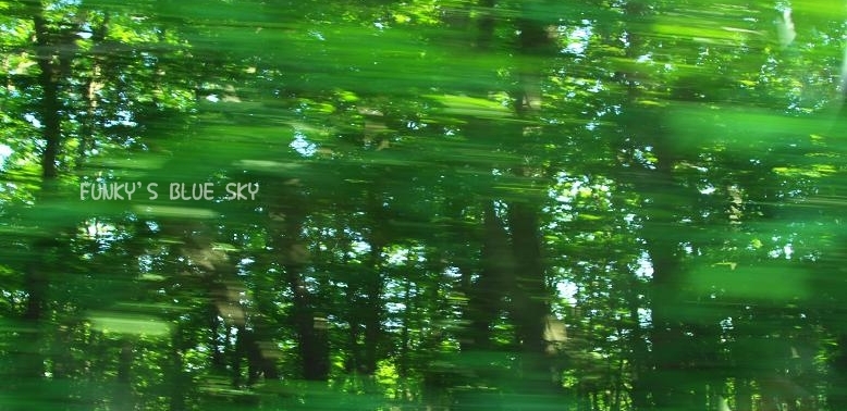 c0145250_10342167.jpg
