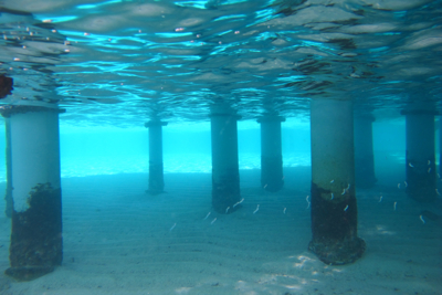 f0190653_2040117.jpg