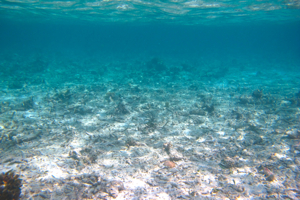 f0190653_20401881.jpg