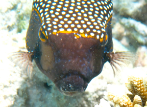 f0190653_20424714.jpg
