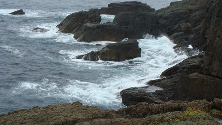 a0212656_14533284.jpg