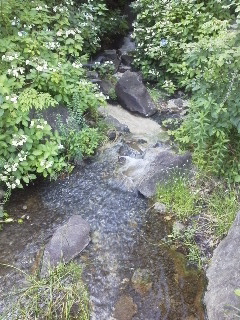e0272156_1742591.jpg