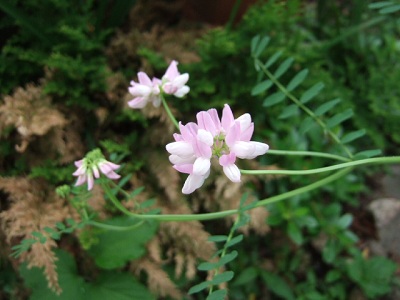 e0225164_538047.jpg