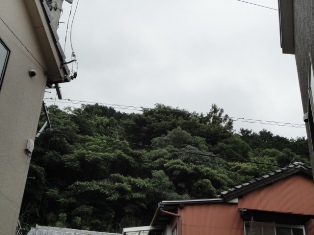 d0109373_1464869.jpg