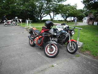 a0064474_8493723.jpg