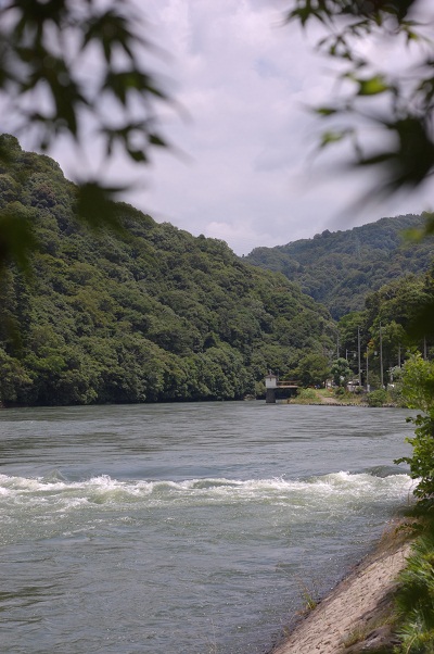 e0252879_13204968.jpg