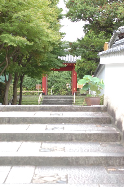 e0252879_1323106.jpg