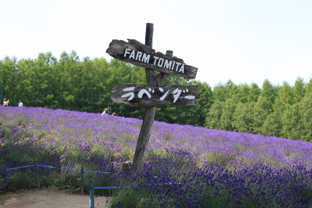 b0003280_01752100.jpg
