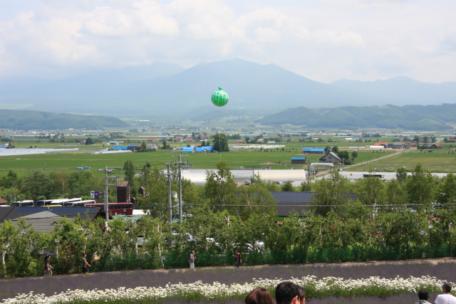 b0003280_0323030.jpg