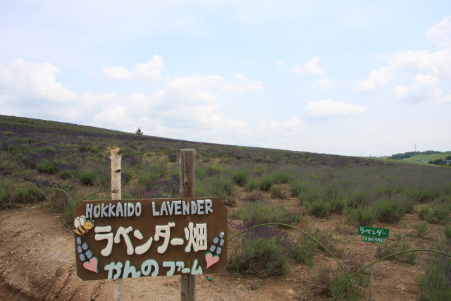 b0003280_10231470.jpg