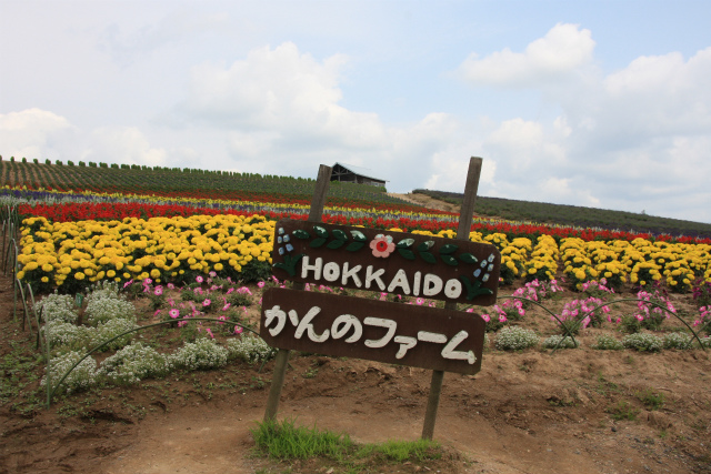 b0003280_10251297.jpg
