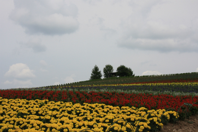 b0003280_10255149.jpg