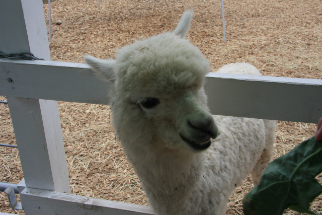 b0003280_105257100.jpg