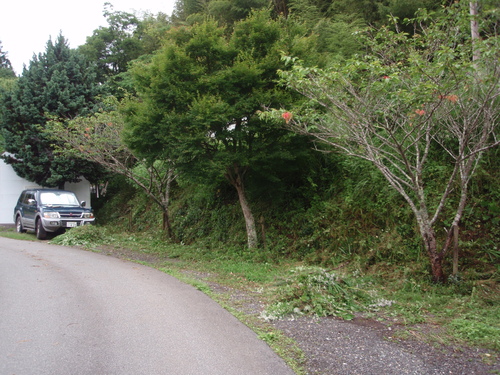 f0223480_23155870.jpg