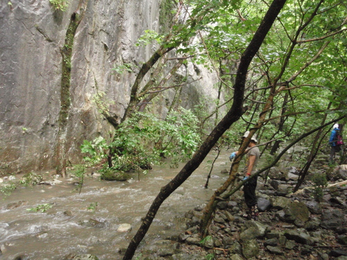 f0223480_23192510.jpg